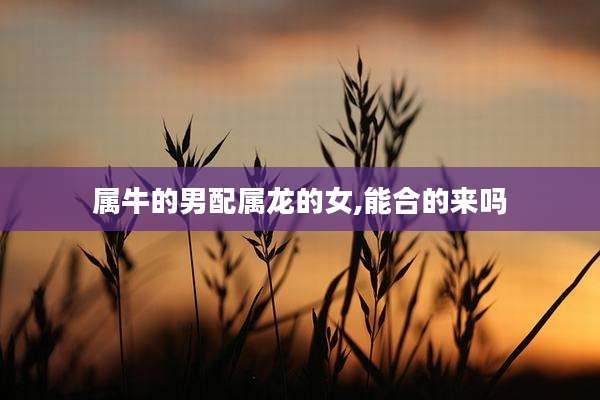属牛的男配属龙的女,能合的来吗