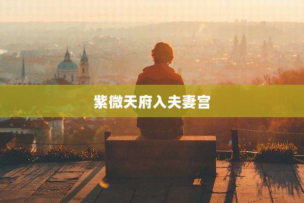 紫微天府入夫妻宫