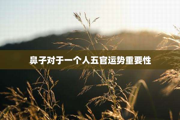 鼻子对于一个人五官运势重要性