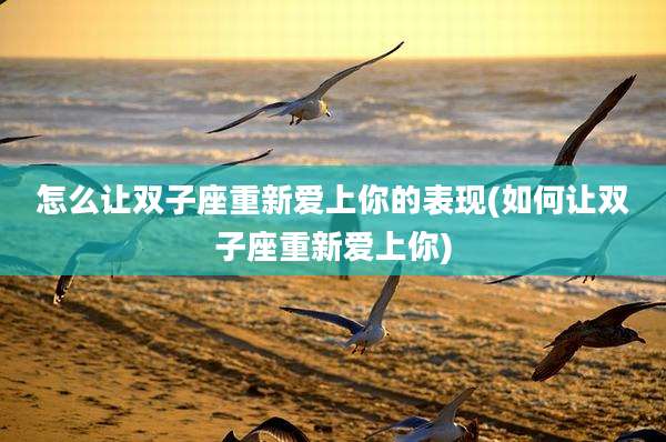 怎么让双子座重新爱上你的表现(如何让双子座重新爱上你)