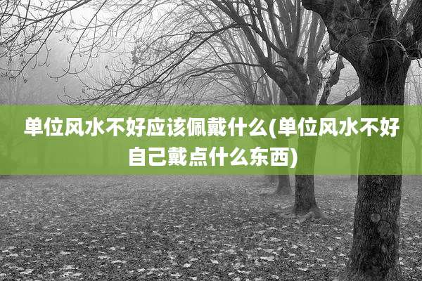 单位风水不好应该佩戴什么(单位风水不好自己戴点什么东西)