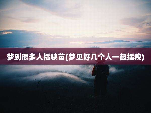 梦到很多人插秧苗(梦见好几个人一起插秧)