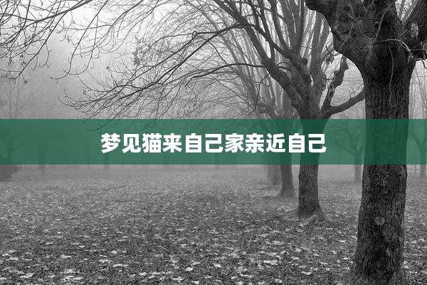 梦见猫来自己家亲近自己