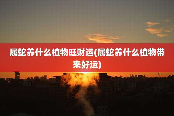 属蛇养什么植物旺财运(属蛇养什么植物带来好运)
