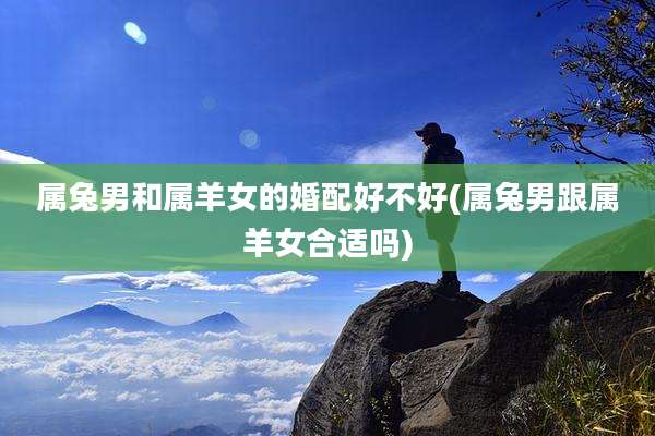 属兔男和属羊女的婚配好不好(属兔男跟属羊女合适吗)
