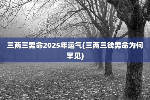 三两三男命2025年运气(三两三钱男命为何罕见)