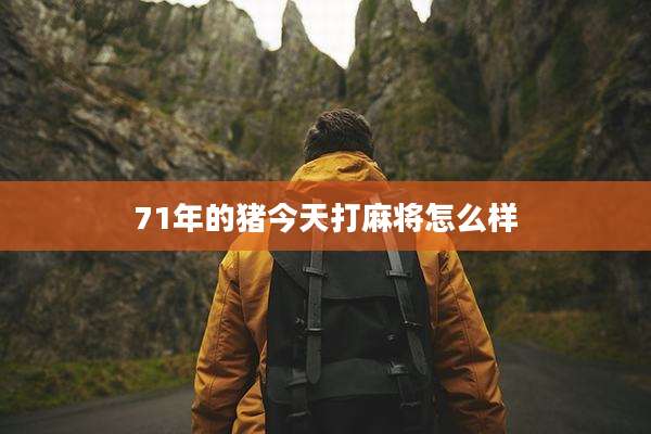 71年的猪今天打麻将怎么样