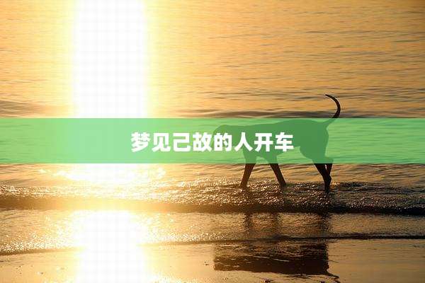 梦见己故的人开车