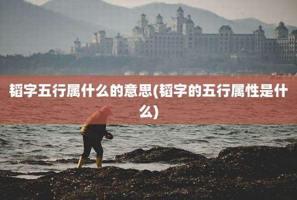 韬字五行属什么的意思(韬字的五行属性是什么)