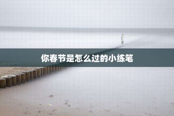 你春节是怎么过的小练笔