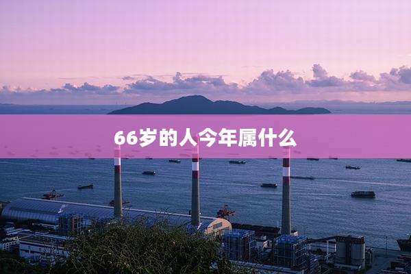 66岁的人今年属什么