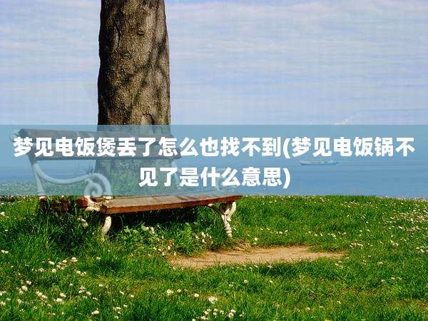 梦见电饭煲丢了怎么也找不到(梦见电饭锅不见了是什么意思)