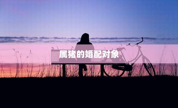 属猪的婚配对象