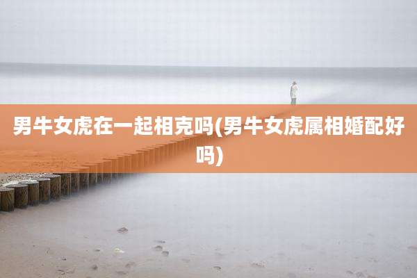 男牛女虎在一起相克吗(男牛女虎属相婚配好吗)
