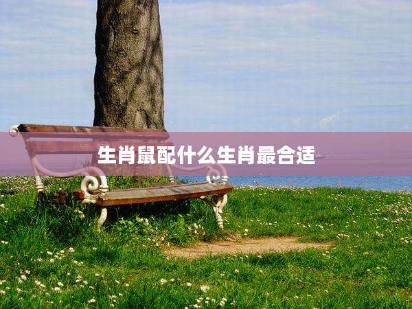 生肖鼠配什么生肖最合适