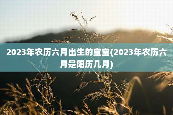 2023年农历六月出生的宝宝(2023年农历六月是阳历几月)