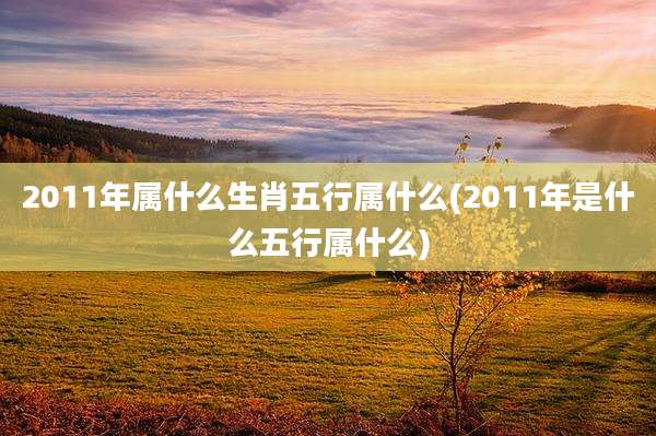 2011年属什么生肖五行属什么(2011年是什么五行属什么)