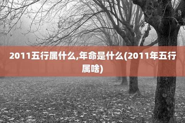 2011五行属什么,年命是什么(2011年五行属啥)