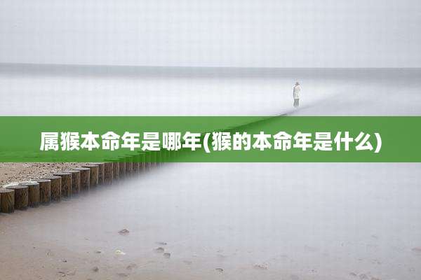 属猴本命年是哪年(猴的本命年是什么)