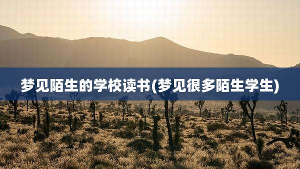 梦见陌生的学校读书(梦见很多陌生学生)