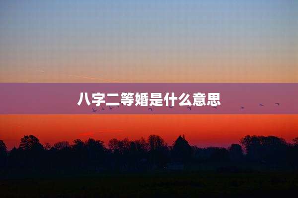 八字二等婚是什么意思