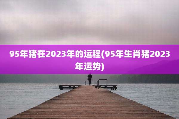 95年猪在2023年的运程(95年生肖猪2023年运势)