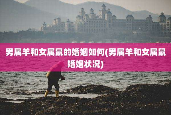 男属羊和女属鼠的婚姻如何(男属羊和女属鼠婚姻状况)