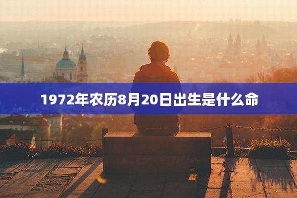 1972年农历8月20日出生是什么命