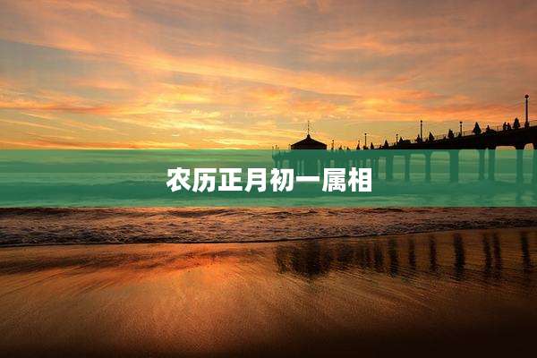 农历正月初一属相