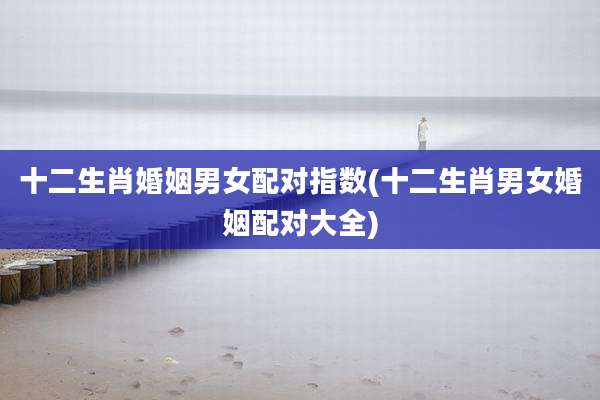 十二生肖婚姻男女配对指数(十二生肖男女婚姻配对大全)