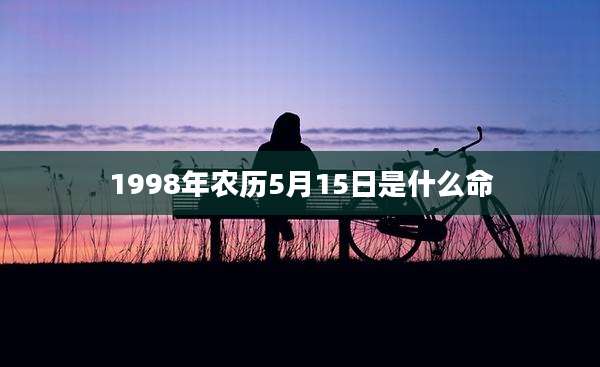 1998年农历5月15日是什么命