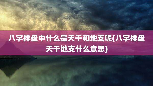八字排盘中什么是天干和地支呢(八字排盘天干地支什么意思)