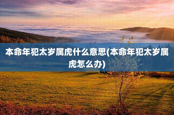 本命年犯太岁属虎什么意思(本命年犯太岁属虎怎么办)