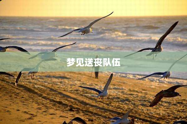 梦见送丧队伍