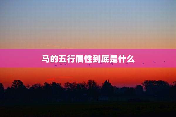 马的五行属性到底是什么