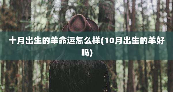 十月出生的羊命运怎么样(10月出生的羊好吗)
