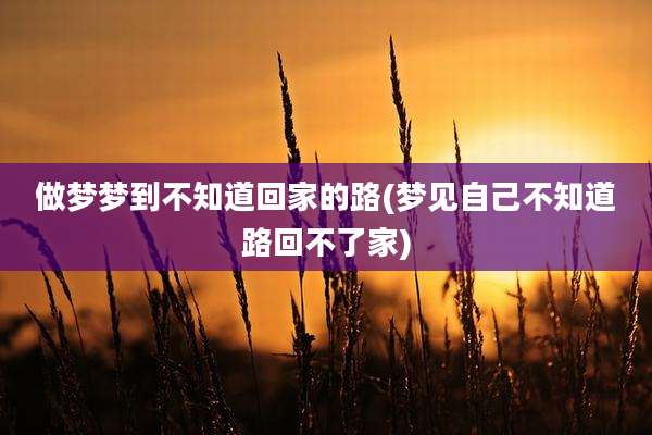 做梦梦到不知道回家的路(梦见自己不知道路回不了家)
