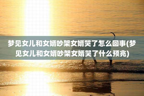 梦见女儿和女婿吵架女婿哭了怎么回事(梦见女儿和女婿吵架女婿哭了什么预兆)