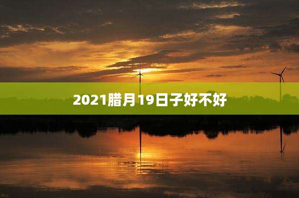 2021腊月19日子好不好