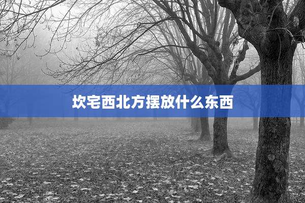 坎宅西北方摆放什么东西