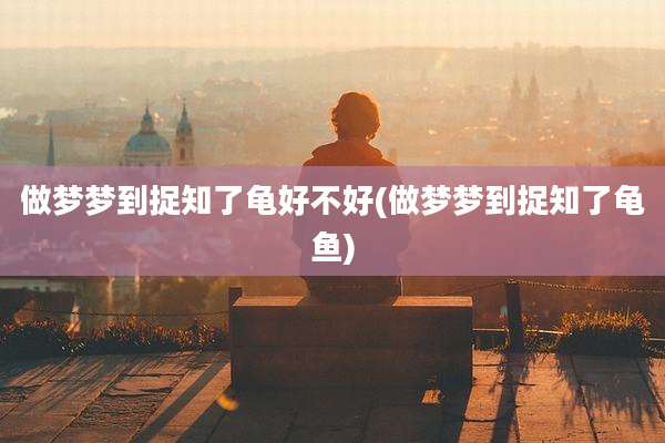 做梦梦到捉知了龟好不好(做梦梦到捉知了龟鱼)