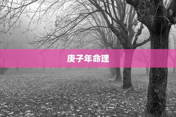 庚子年命理