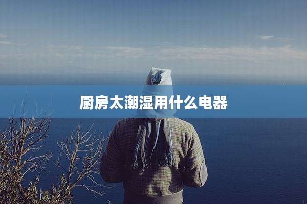 厨房太潮湿用什么电器