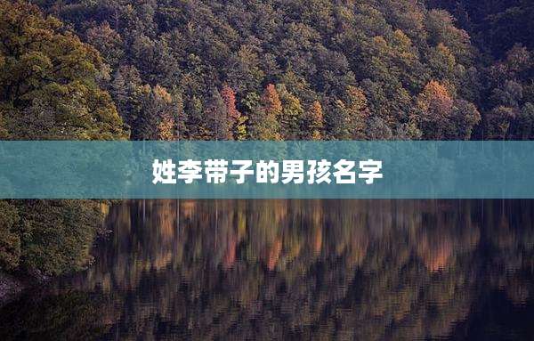 姓李带子的男孩名字