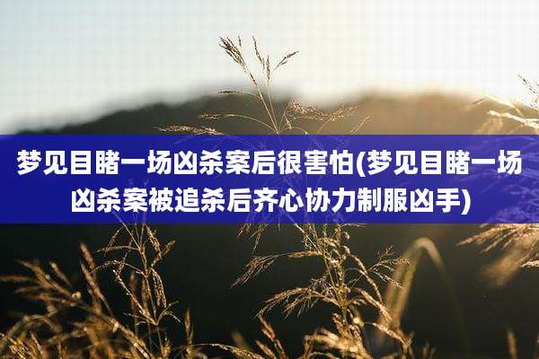 梦见目睹一场凶杀案后很害怕(梦见目睹一场凶杀案被追杀后齐心协力制服凶手)