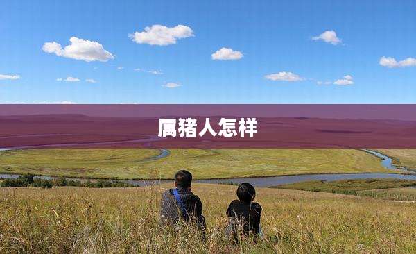 属猪人怎样
