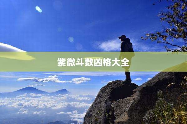 紫微斗数凶格大全