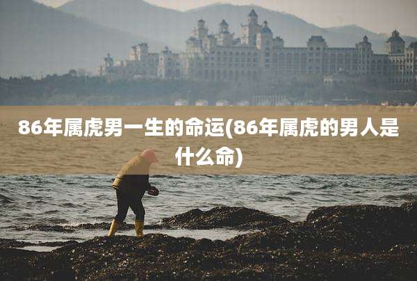 86年属虎男一生的命运(86年属虎的男人是什么命)