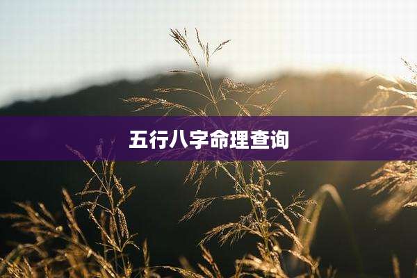 五行八字命理查询