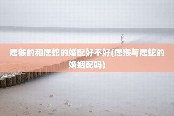属猴的和属蛇的婚配好不好(属猴与属蛇的婚姻配吗)